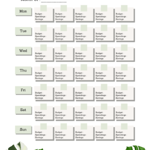 Daily Budget In A Month Planner (1)